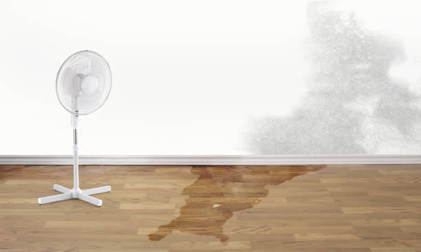 Best Commercial water damage restoration  in Binghamton, NY