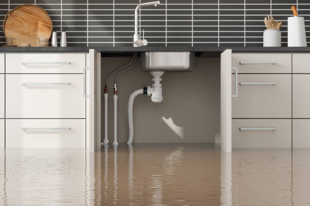 Best Flood damage cleanup  in Binghamton, NY