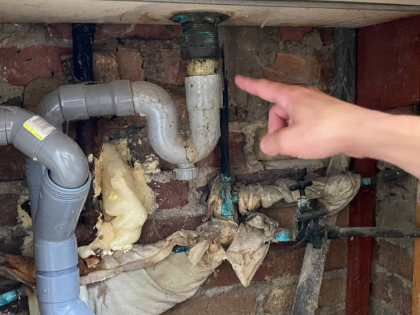 Best Water damage restoration near me  in Binghamton, NY