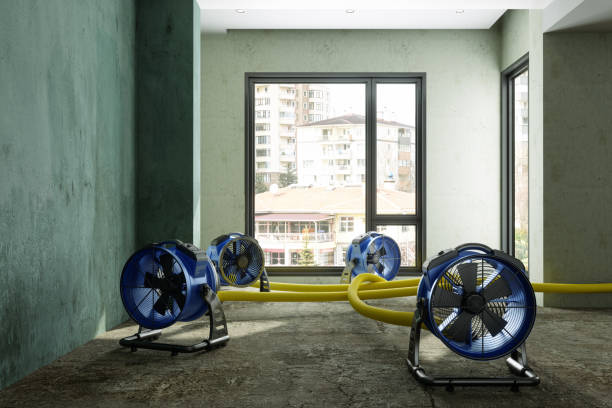 Best Flood restoration services  in Binghamton, NY
