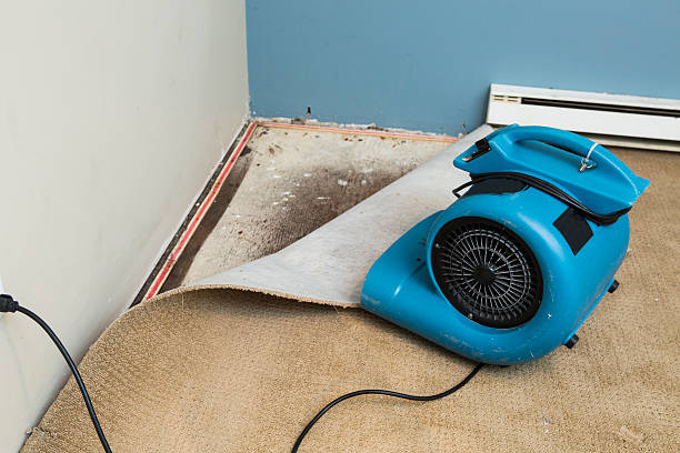 Best Basement water damage restoration  in Binghamton, NY